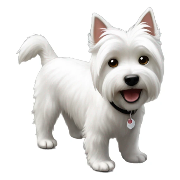 White west highland terrier stand on the ground sticker