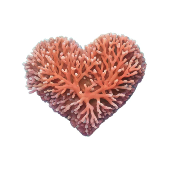 Coral reef in a the shape of a heart sticker
