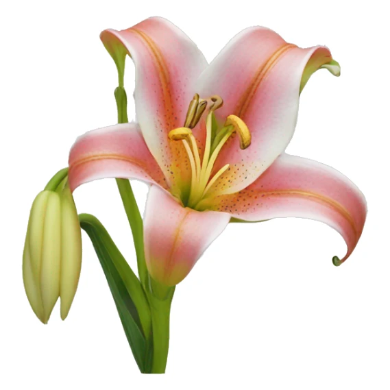 Trumpet lily flower sticker
