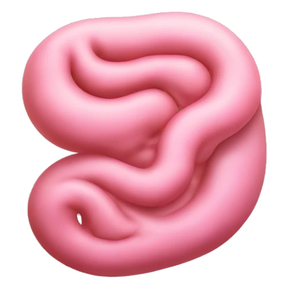 “Realistic image of a human stomach with a curved shape and pinkish color.” sticker