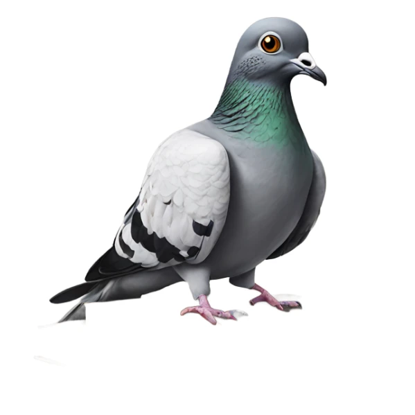 Pigeon with glasses and a book hyper realism  sticker