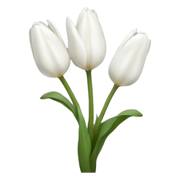 white tulips sticker
