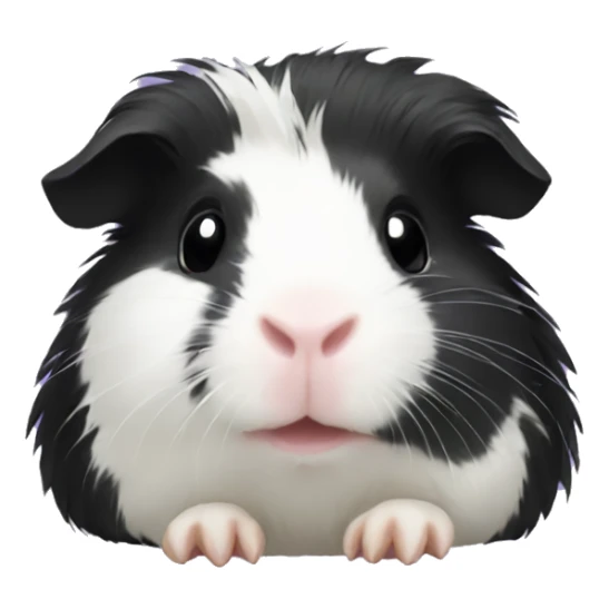 Guinea pig black sticker