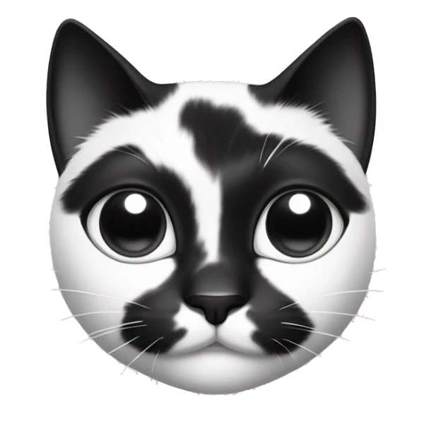 Black and white cat, black dots on left and right ears and only one(right) eye sticker