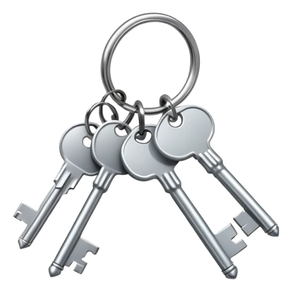 a set of keys on a keyring sticker