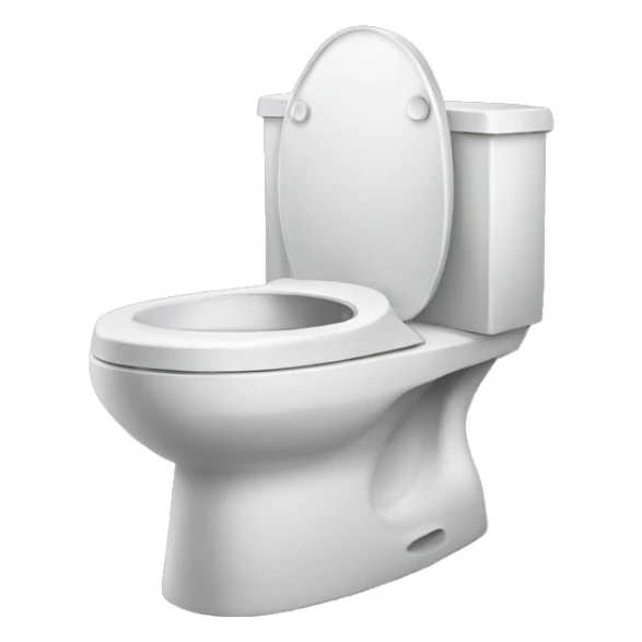 normal toilet but skibidi sticker