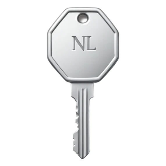 small silver metal key with hexagonal head and the word NATIONAL engraved, clean lines, soft silver tone, minimalistic and precise sticker
