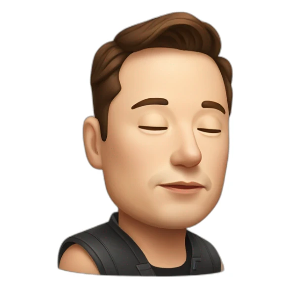 Elon musk who sleeps sticker