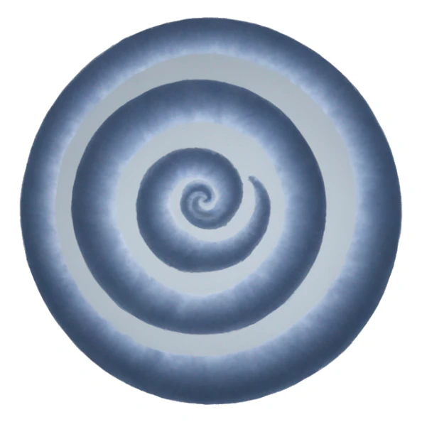 spiral in moon sticker