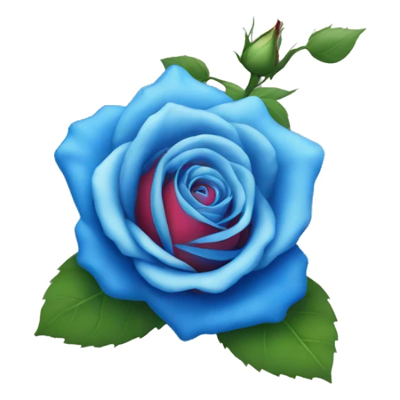 rose with blue sticker