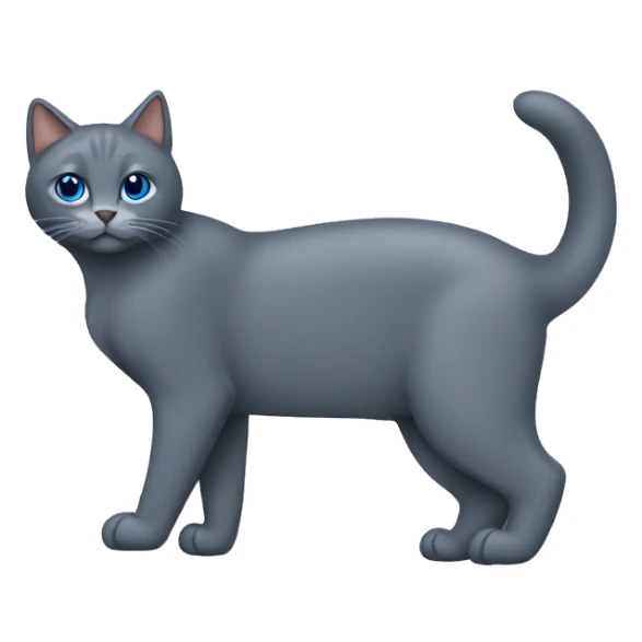 Gato  gris oscuro azul ruso sin manchas sticker