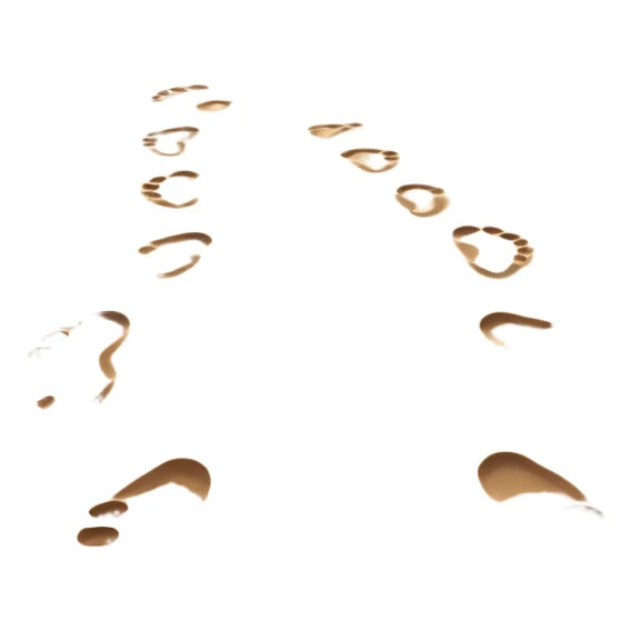 beach sunset. Two sets of footprints—one small, the other larger childhood self and inner child sticker