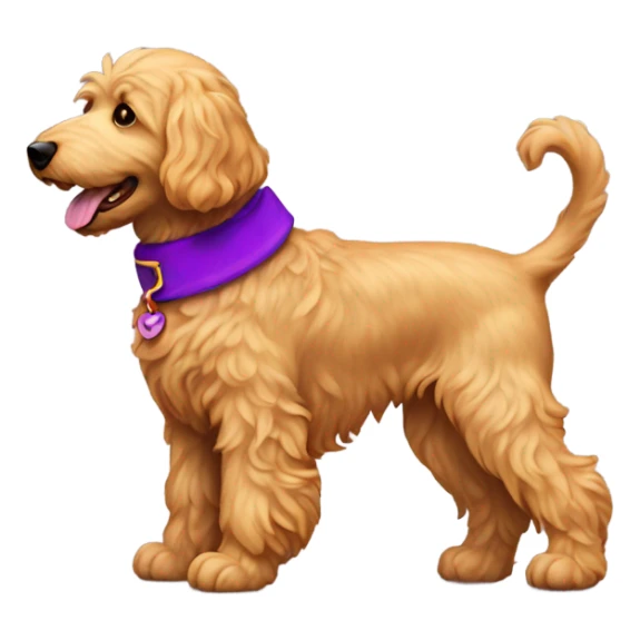 Golden doodle with purple collar raising her back leg sticker