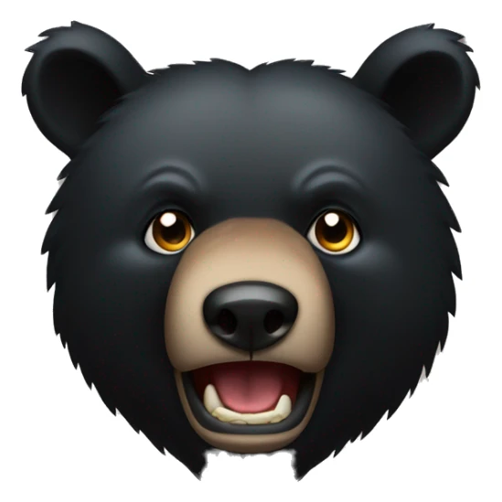 The fierce expression of a black bear  sticker