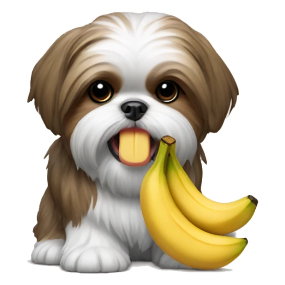 Shih tzu with a toy banana in his mouth sticker