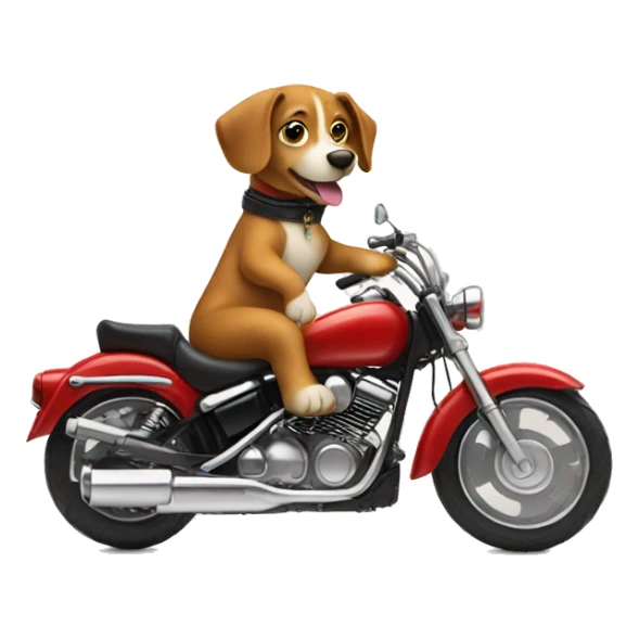 winner dog riding on a motorcycle  sticker