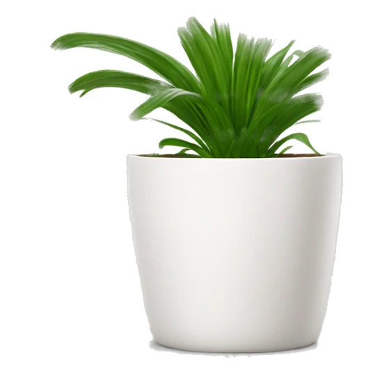 a spider plant in a white plant pot sticker
