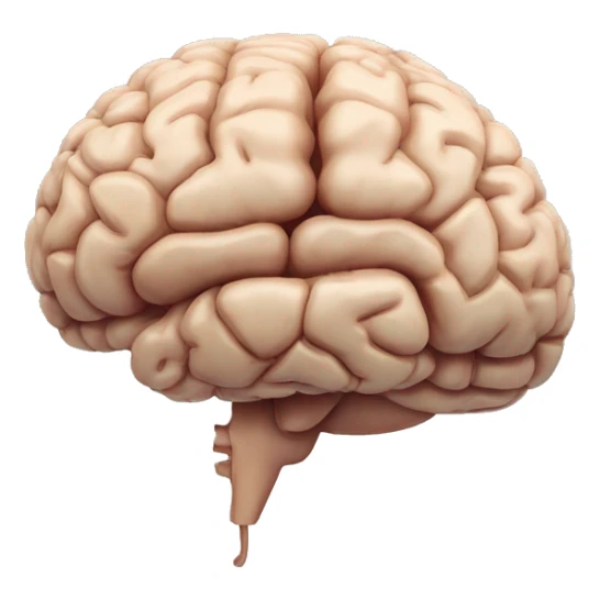 Cerebellum of brain without the rest of brain sticker