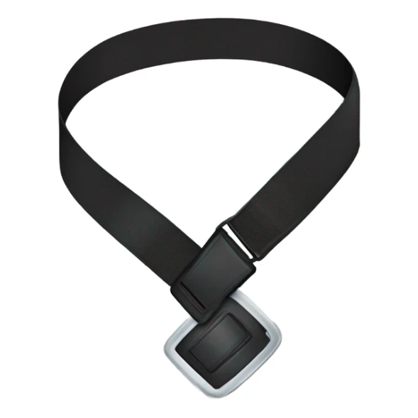 typical crossbody seat belt from a regular car sticker