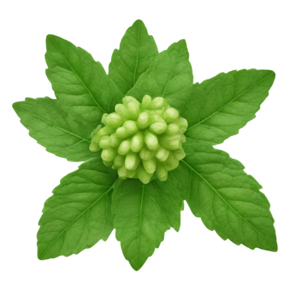 bergamot with a pronounced zest sticker