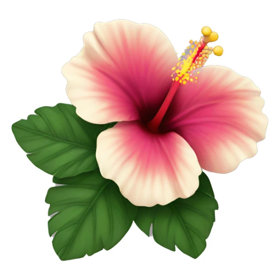 Hibiscus flower with white heart sticker