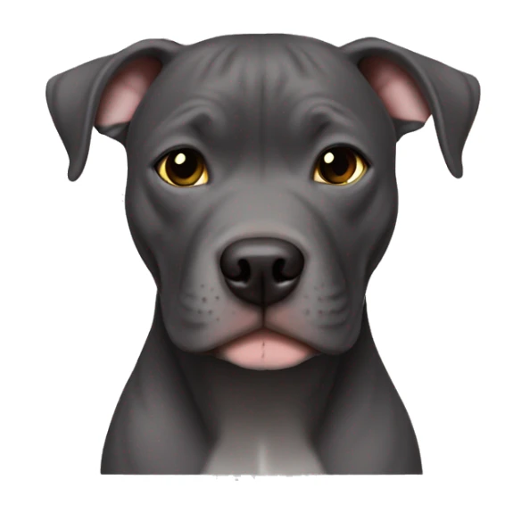 all dark grey pitbull no white with hazel eyes girl sticker