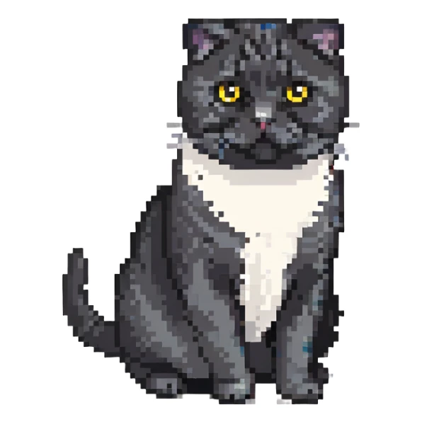 black Scottish fold cat with white spot on the chest sticker