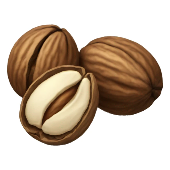 walnut seed sticker
