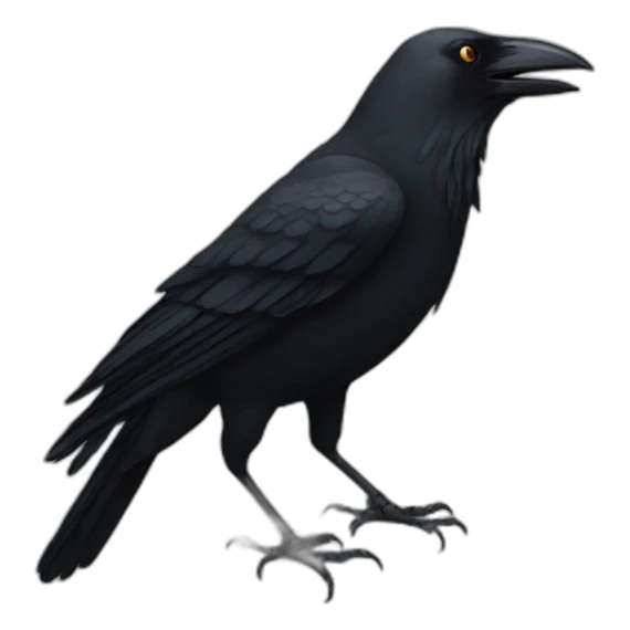 crow sticker