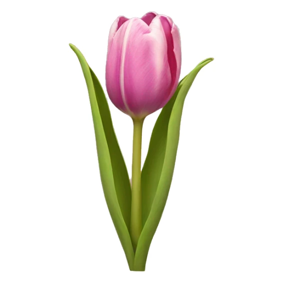 Tulip sticker