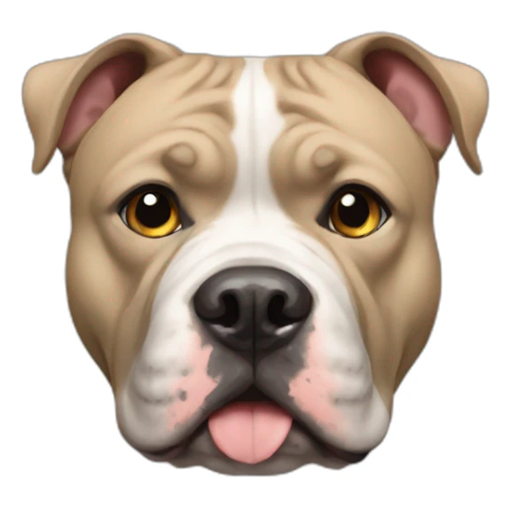 American bully  sticker
