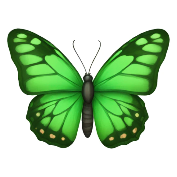 Green butterfly sticker