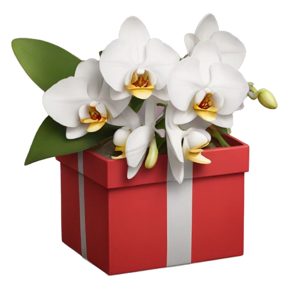 Realistic orchid bouquet in a red box sticker