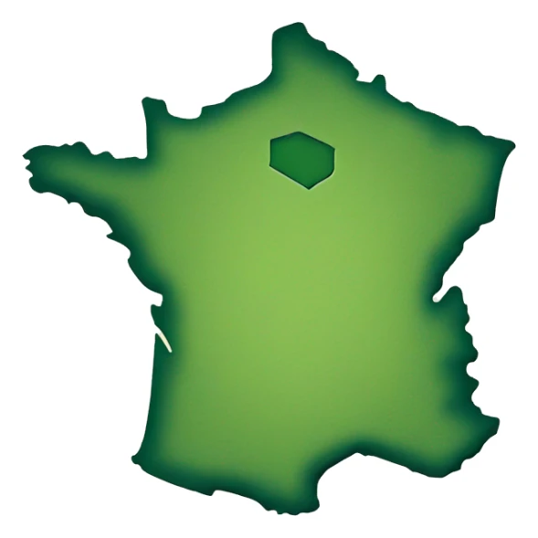 Map of France sticker