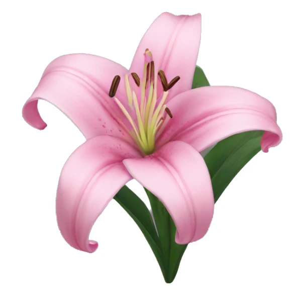 pink lily sticker