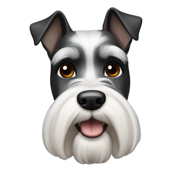Miniature Schnauzer black and white with bald man sticker