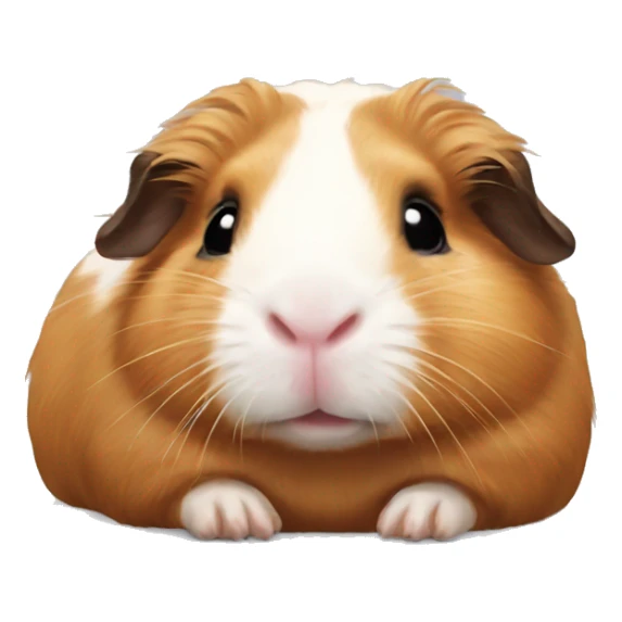 Guineapig laying down very cute but realistic sticker