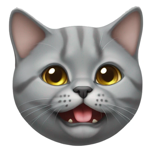 playful british shorthair with tongue out sticker