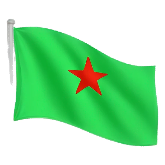 green flag with a red star in the middle. no other colors sticker