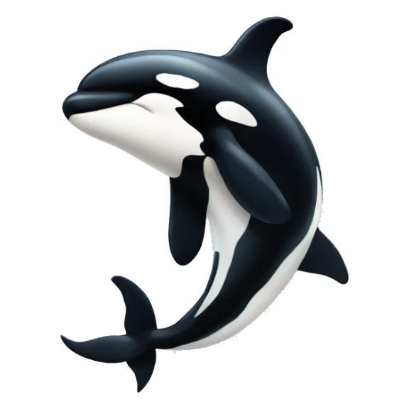Killer whale sticker