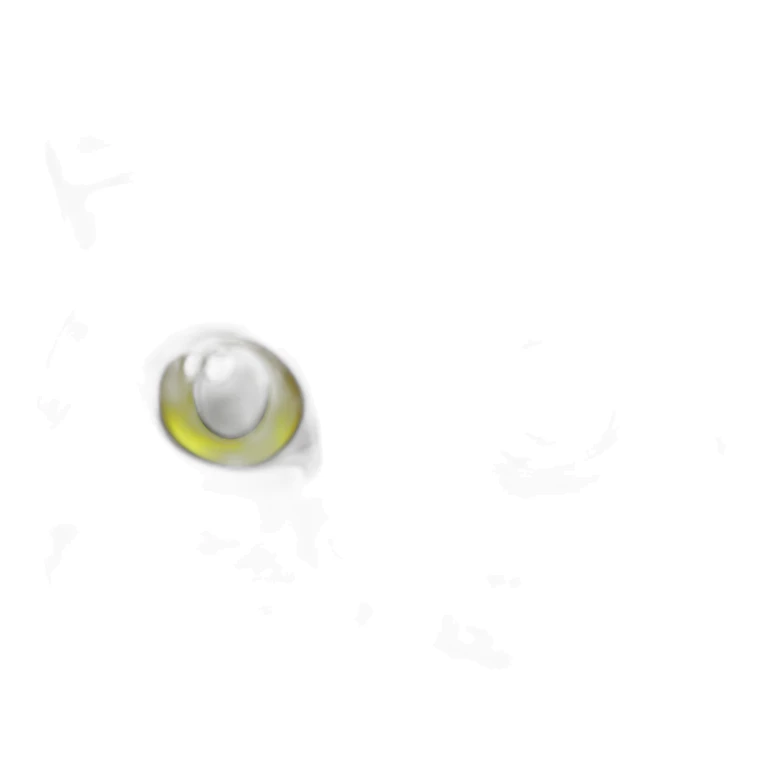 Grey asymmetrical face marking and white tabby european cat with yellow green eyes sticker