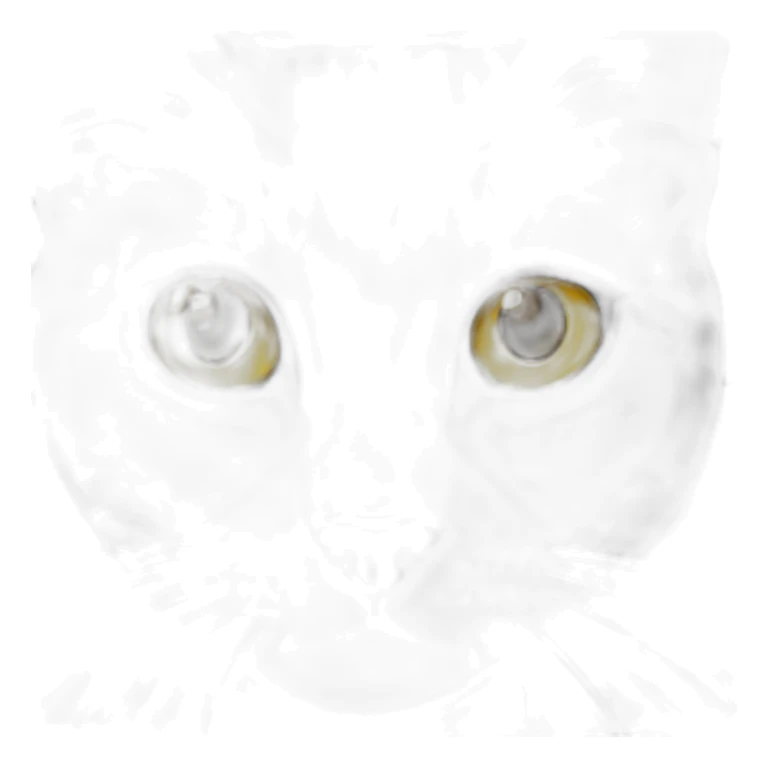 Grey marble tabby Scottish straight cat with yellow eyes sticker