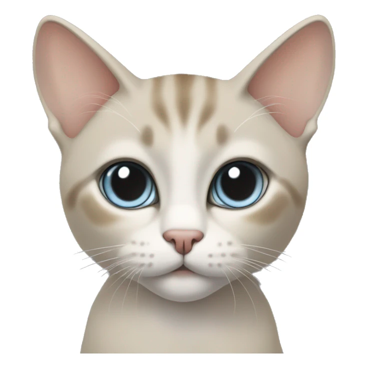 Thai breed cat with a light cream-brown body, dark gray face, ears, and paws. Short fur, sharp ears, and striking light blue eyes with an intense gaze. sticker