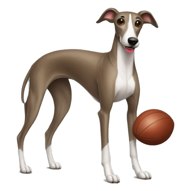 greyhound wearing football jersey sticker