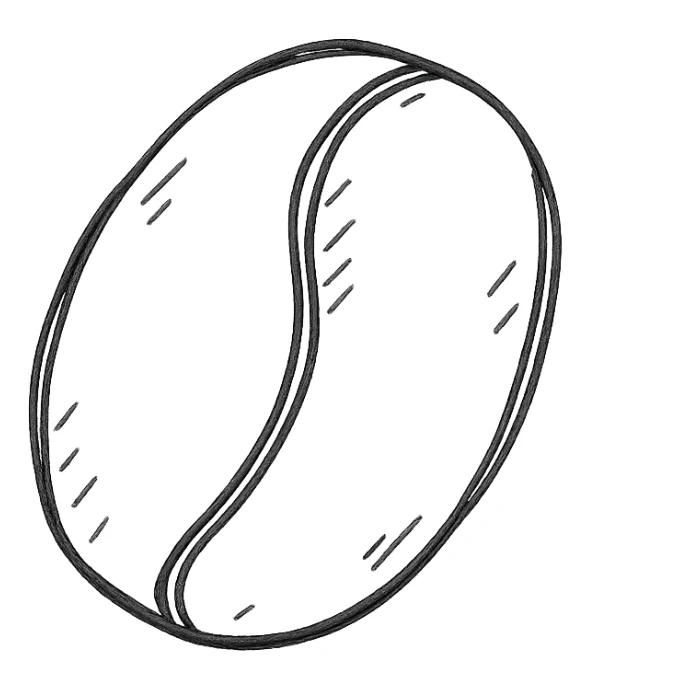 hand drawn icon of a coffee bean sticker