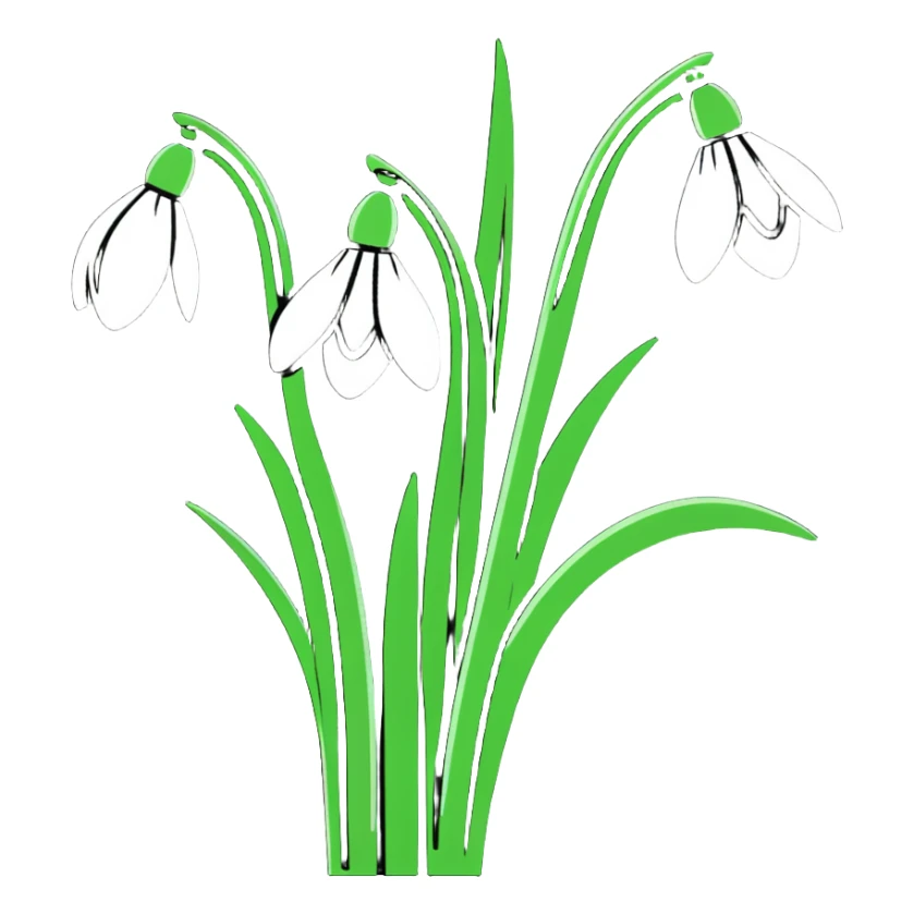 bouquet of snowdrop flowers sticker
