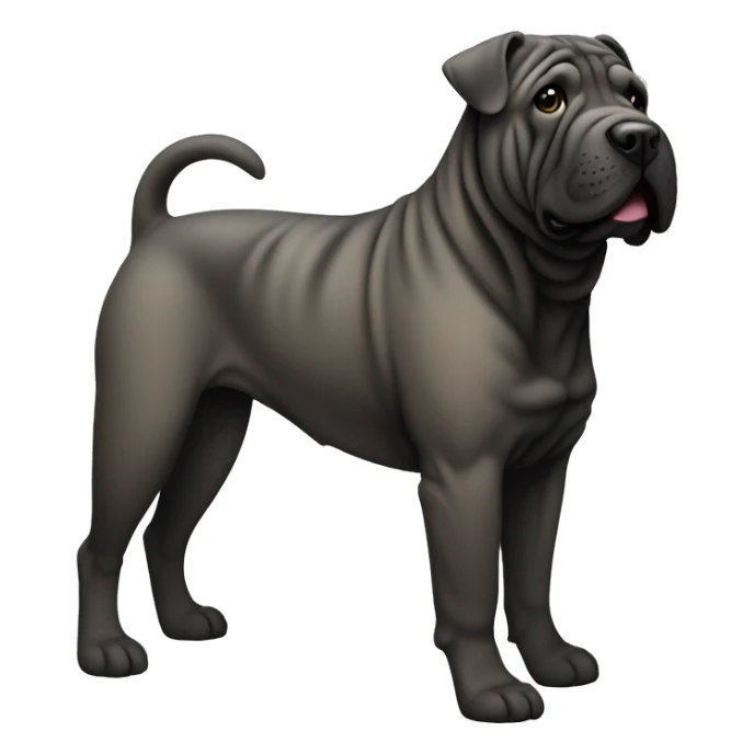 Black shar-pei dog, full body sticker