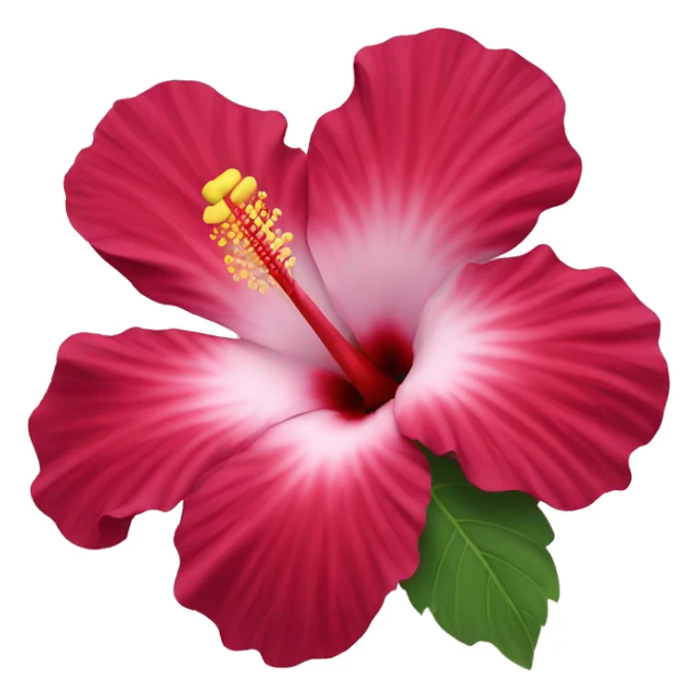 Hibiscus flower sticker