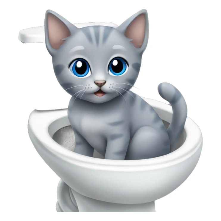blue eyes grey kitten and toilet  sticker