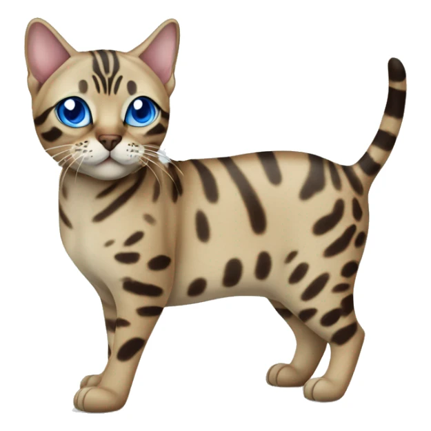 Seal Bengal cat with Blue eyes standing sticker
